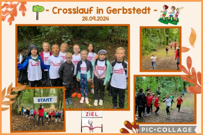 crosslauf_26.09.2024.jpg