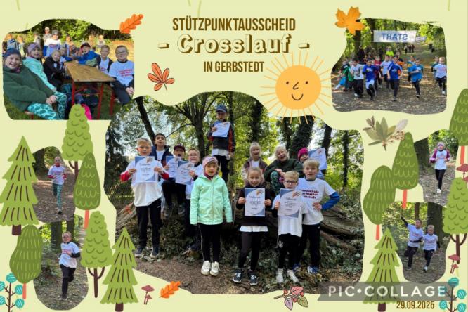 crosslauf_29.09.2025.jpg