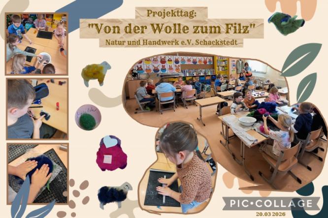 filzprojekt_2026.jpg