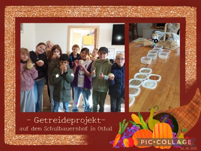 getreideprojekt_3a_sj25_26.jpg