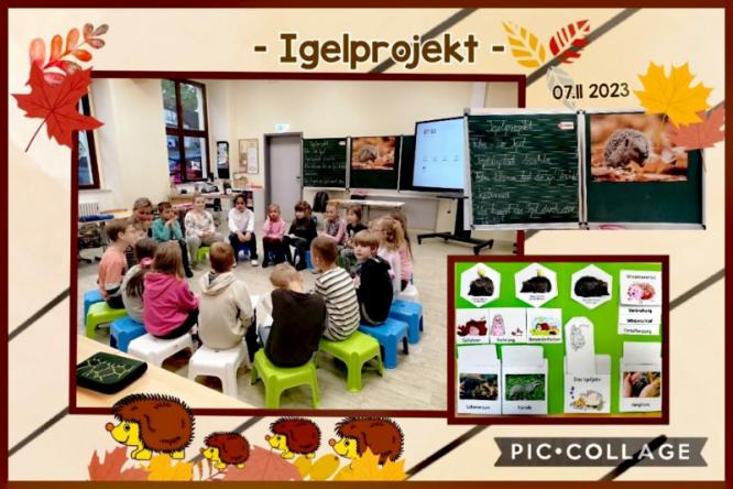 igelprojekt_07.11.2023.jpg