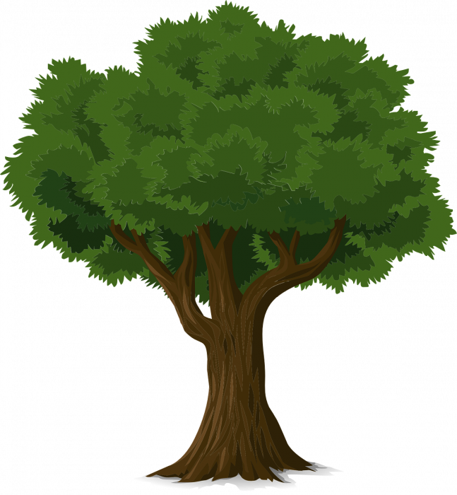 tree_576847_1280.png
